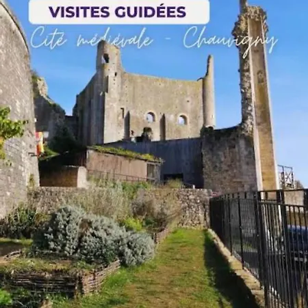 La Maison Aux Volets Verts * Bonnes (Vienne)